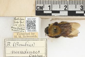 Media type: image;   Entomology 813081 Aspect: labels
